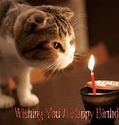 Image result for Funny Birthday Wishes GIF