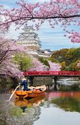 Image result for Things to Do in Osaka in March