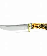 Image result for Schrade Knives Golden Spike Display
