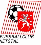Image result for Netstal Logo