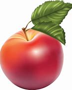 Image result for Apple ClipArt PNG
