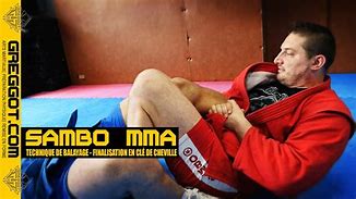 Image result for Sambo MMA