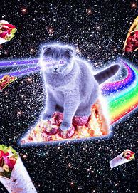 Image result for Space Cat Laser Eyes