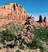 Image result for Arizona Nature Trail