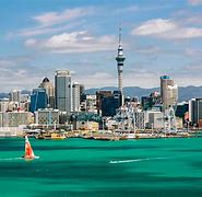 Image result for Google Auckland