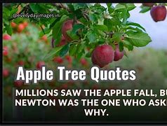 Image result for Apple Tree Quotes