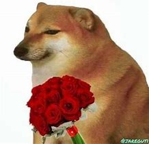 Image result for Rosa Dog Meme