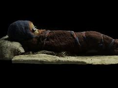 Image result for Cherchen Mummies