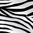 Image result for Black and White Horizontal Stripes Background Backing Paper