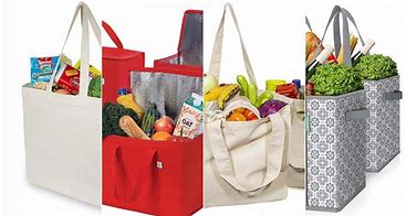Image result for Take Reusable Shopping Bags