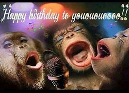 Image result for Happy Birthday Funny Monkey Meme