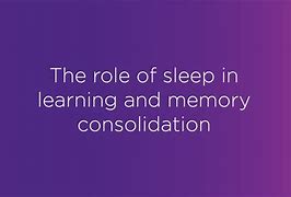 Image result for Role of Sleep in Memory