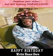 Image result for Monkey Wife Birthday Meme