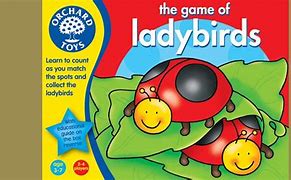 Image result for Lady Bird Game Character