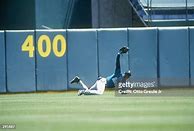 Image result for Ken Griffey Jr Outfield