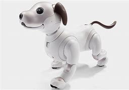 Image result for Aibo Robot Entertainment