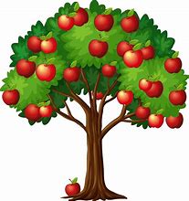 Image result for apples clip arts vectors