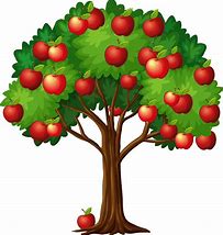 Image result for Apple Tree Art
