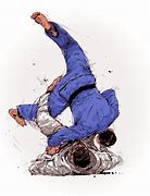 Image result for Jiu Jitsu Drawing