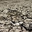 Image result for Drought