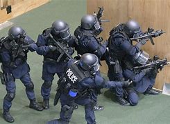 Image result for Japanese Police Guns