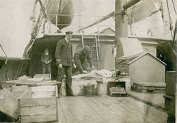 Image result for Titanic Victims' Bodies