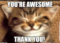 Image result for You Are so Awesome Meme