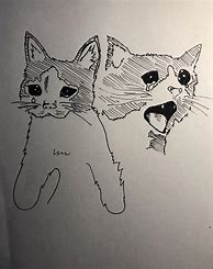 Image result for Drawn Cat Memes