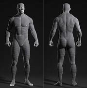 Image result for Human 3D Model Wireframe