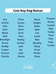 Image result for Male Dog Names List
