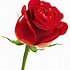 Image result for iPhone Rose Emoji Vector Png