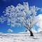 Image result for Background Images for Portfolio Winter Theme