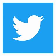Image result for Twitter Square Icon