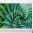 Image result for Small iPad