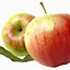 Image result for Fruit Apple PNG Graphic