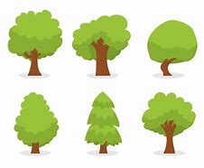 Image result for Tree Cartoon Vector Images