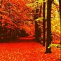 Image result for Fall Aesthetic Home Screen