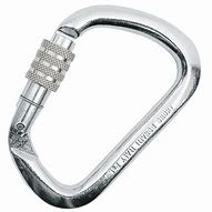Image result for Stainless Steel Carabiner