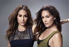 Image result for Beautiful Bella Twins