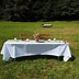 Image result for How to Use Tablecloth Clips