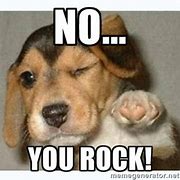 Image result for You Rock Animal Meme