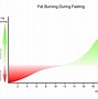 Image result for Intermittent Fasting Graph