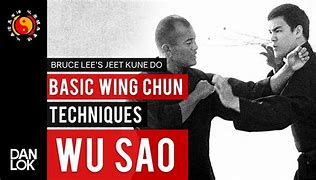 Image result for Wing Chun Techniques