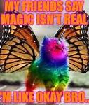 Image result for Fluffy Unicorn Meme