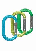 Image result for Carabiner Accessories