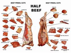 Image result for Meat Sliced in Half