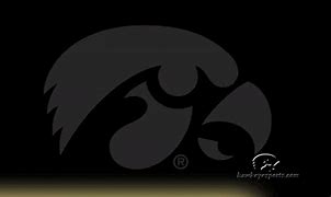 Image result for Iowa Hawkeye Images