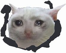 Image result for Sad Cat Face Emoji