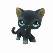Image result for Petco Black Cat Toys