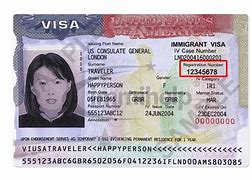 Image result for U.S. Visa Tourist Declaration